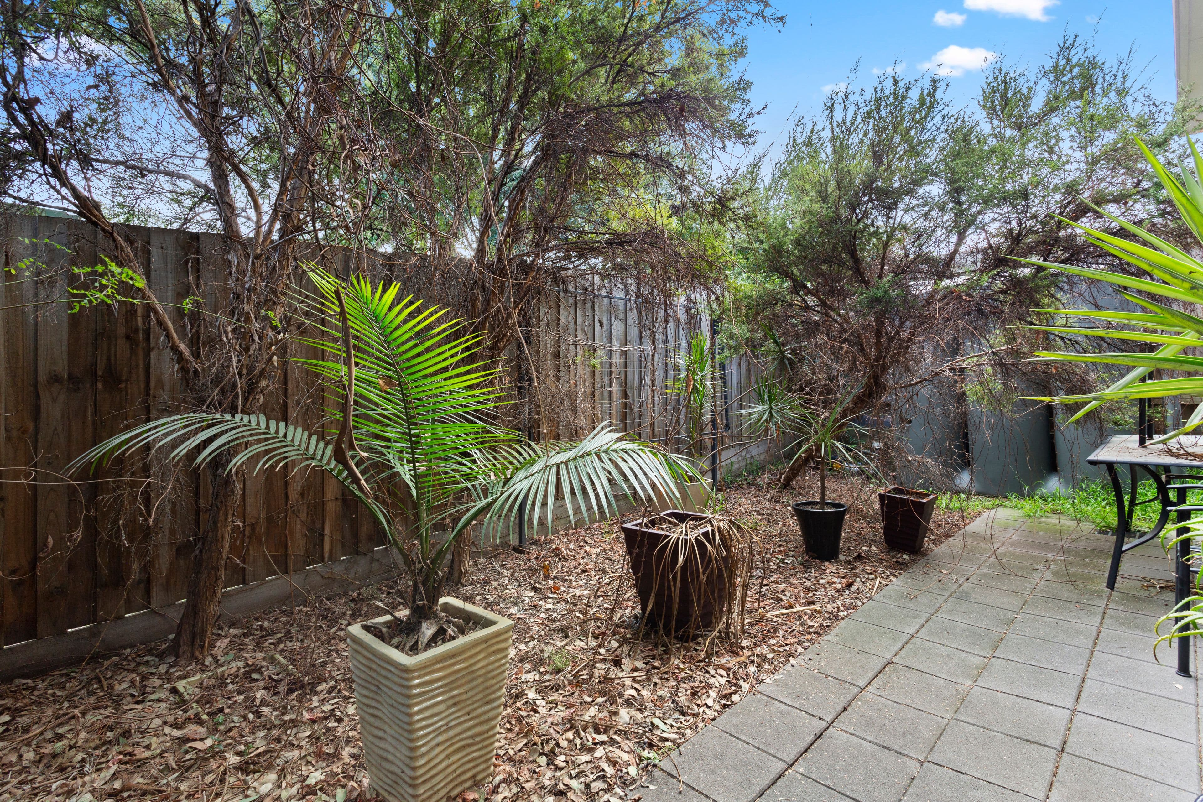 18 Garfield Street, Cheltenham VIC 3192, Cheltenham - Thumbnail 4