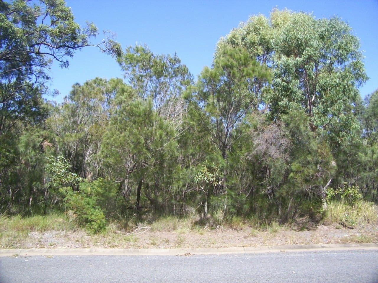 8 Carissa Street, RUSSELL ISLAND QLD 4184, Russell Island - Thumbnail 2