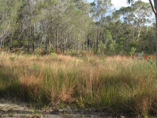 8 Carissa Street, RUSSELL ISLAND QLD 4184, Russell Island - Thumbnail 3