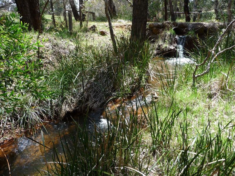 1884 Chittering Road, LOWER CHITTERING WA 6084, Lower Chittering - Image 1