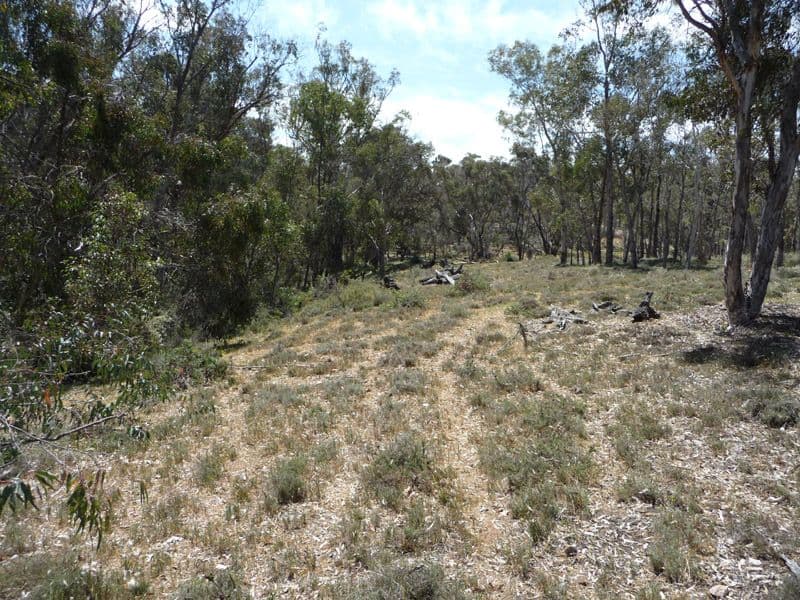 1884 Chittering Road, LOWER CHITTERING WA 6084, Lower Chittering - Thumbnail 8