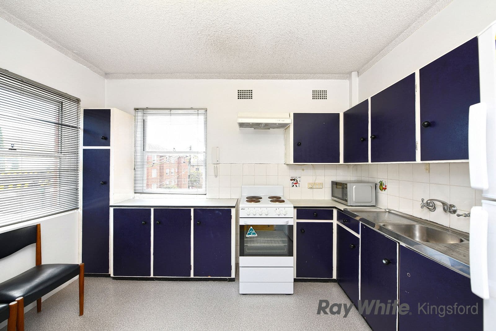 163 Avoca Street, Randwick NSW 2031, Randwick - Thumbnail 4