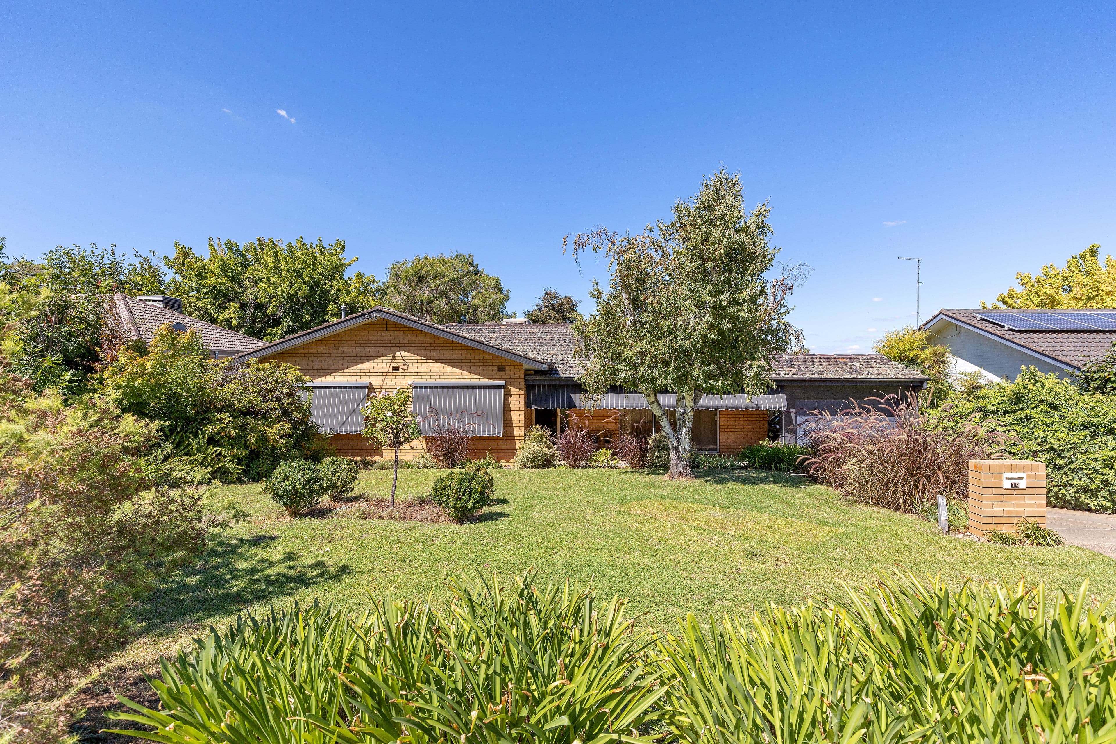 19 Wilks Avenue, Kooringal NSW 2650, Kooringal - Image 1