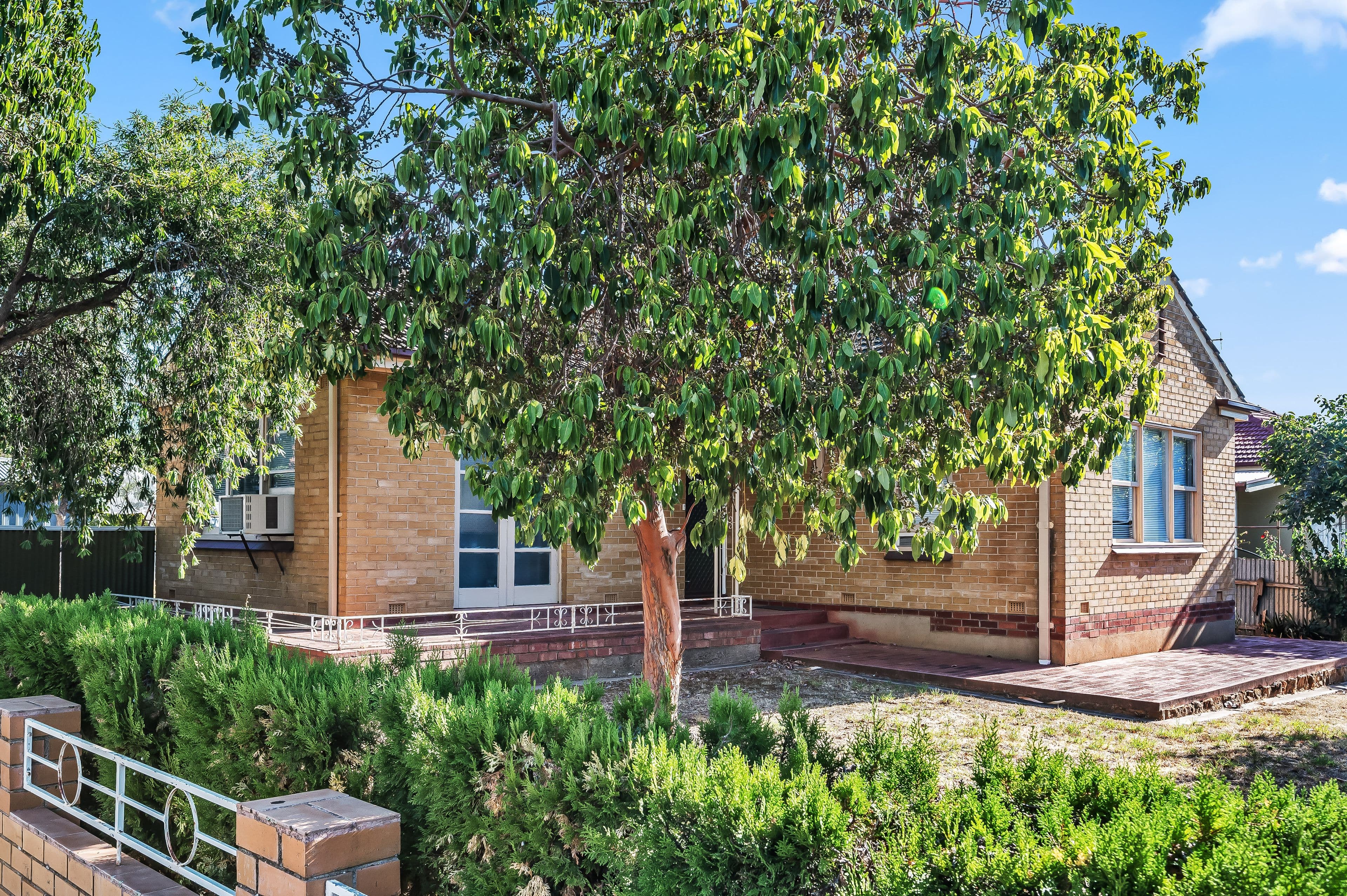 54 Loader Street, Glynde SA 5070, Glynde - Thumbnail 2