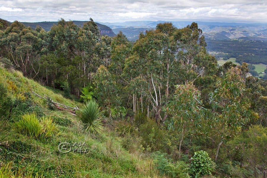 38 Great Western Highway, Medlow Bath NSW 2780, Medlow Bath - Thumbnail 7
