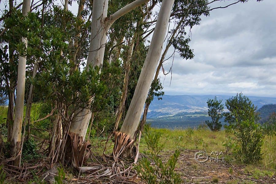 38 Great Western Highway, Medlow Bath NSW 2780, Medlow Bath - Thumbnail 8