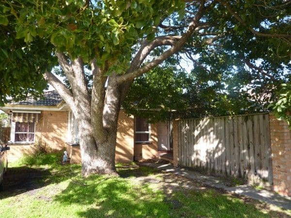 26 Ashleigh Avenue, FRANKSTON VIC 3199, Frankston - Image 1
