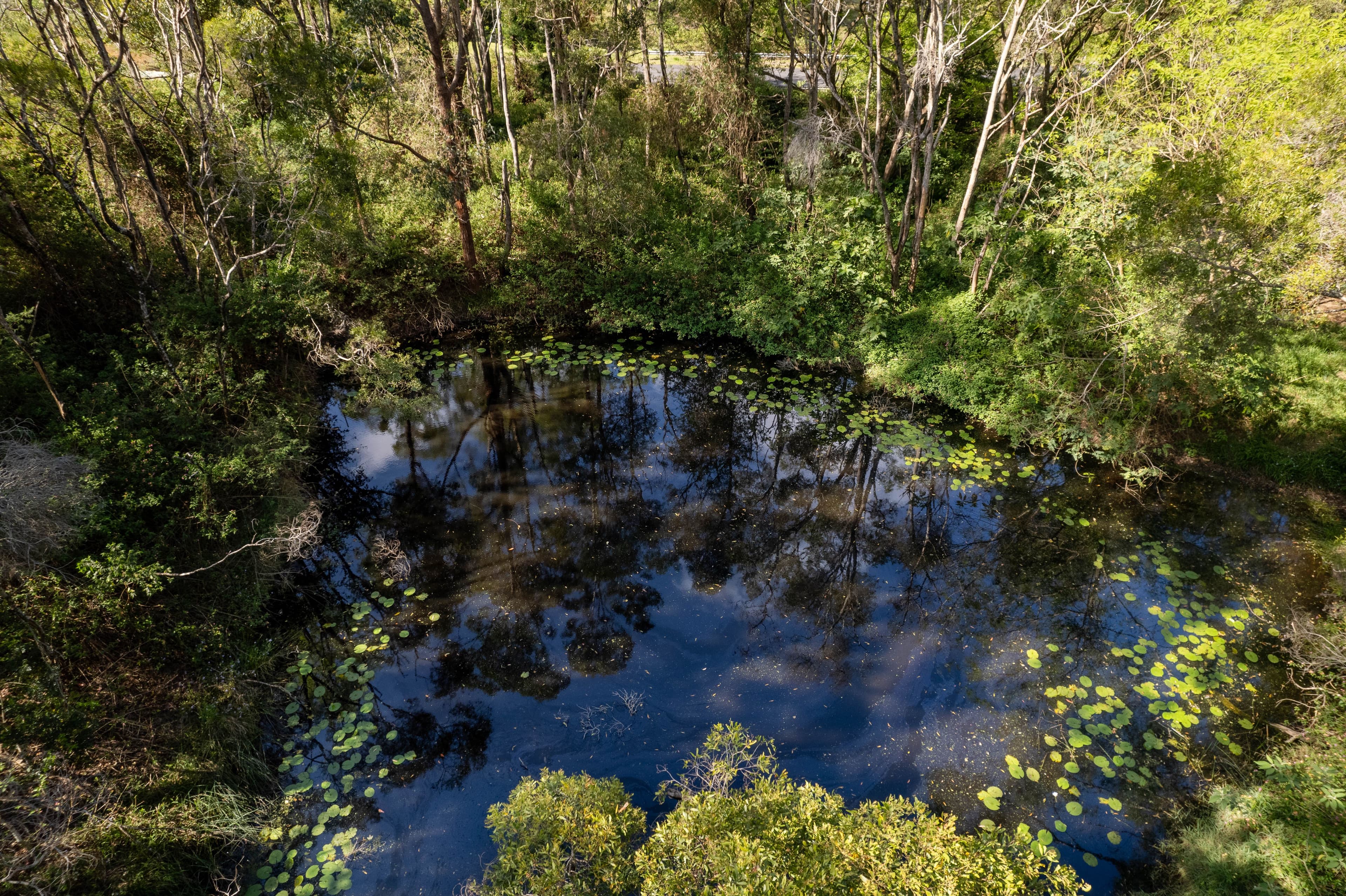 8 Seaview Court, Ocean View QLD 4521, Ocean View - Thumbnail 6