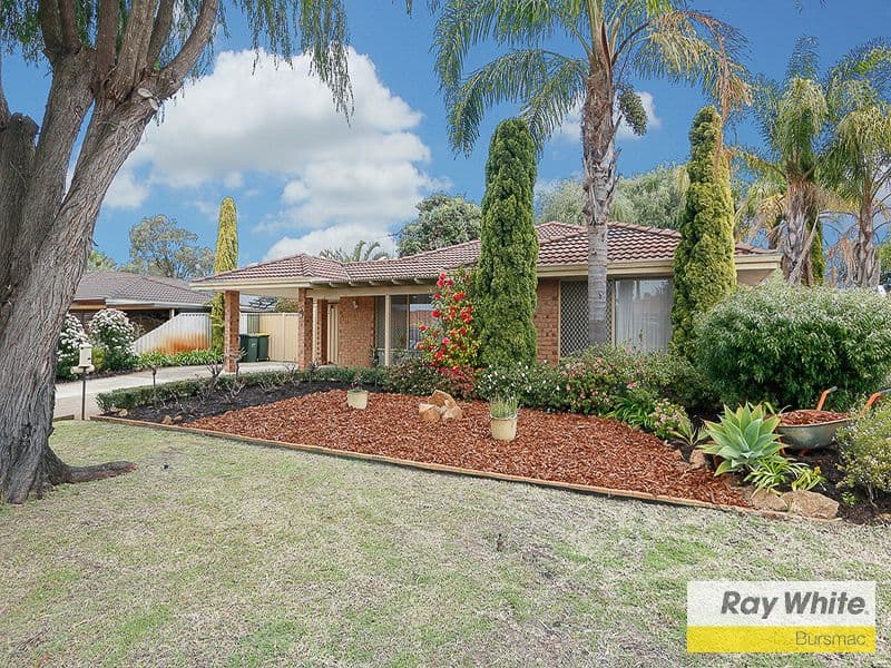 13 Quelea Place, Ballajura WA 6066, Ballajura - Image 1