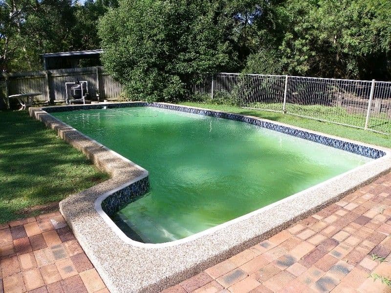 20 Turill Street, SHAILER PARK QLD 4128, Shailer Park - Thumbnail 2