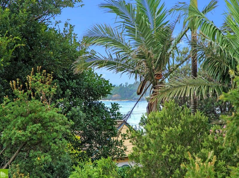17 Woodland Avenue, Thirroul - Thumbnail 7