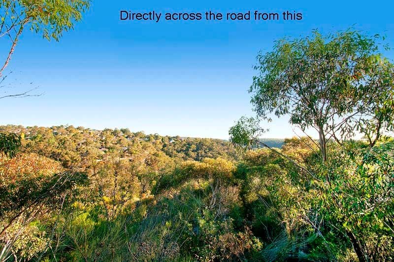 82 Forum Drive, HEATHCOTE NSW 2233, Heathcote - Thumbnail 2