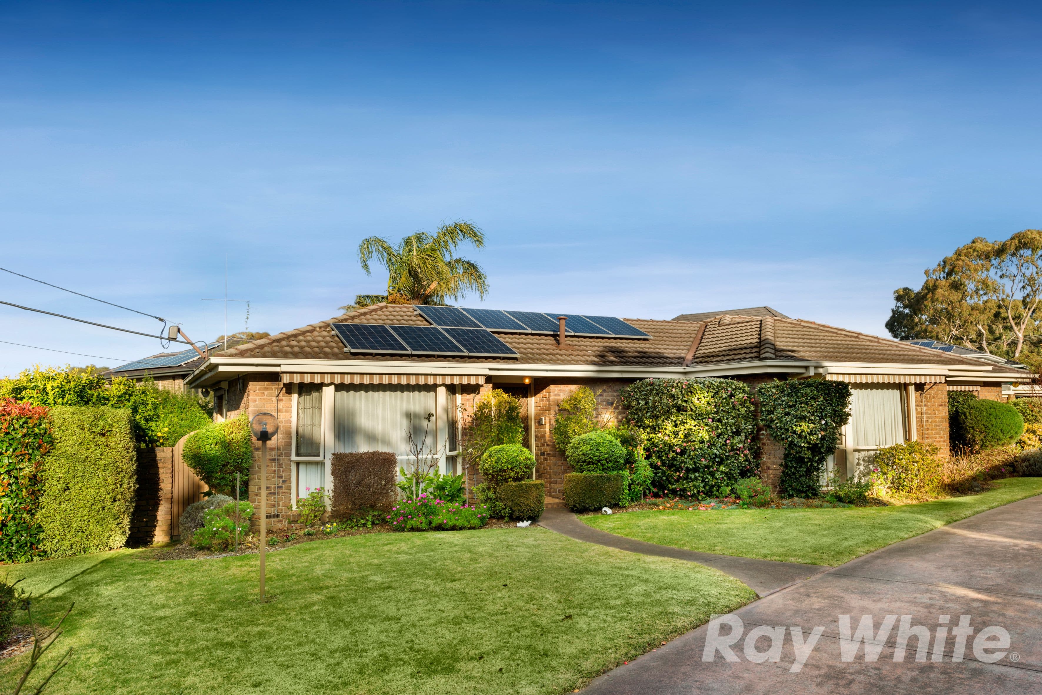 18 Morshead Avenue, Mount Waverley VIC 3149, Mount Waverley - Image 1