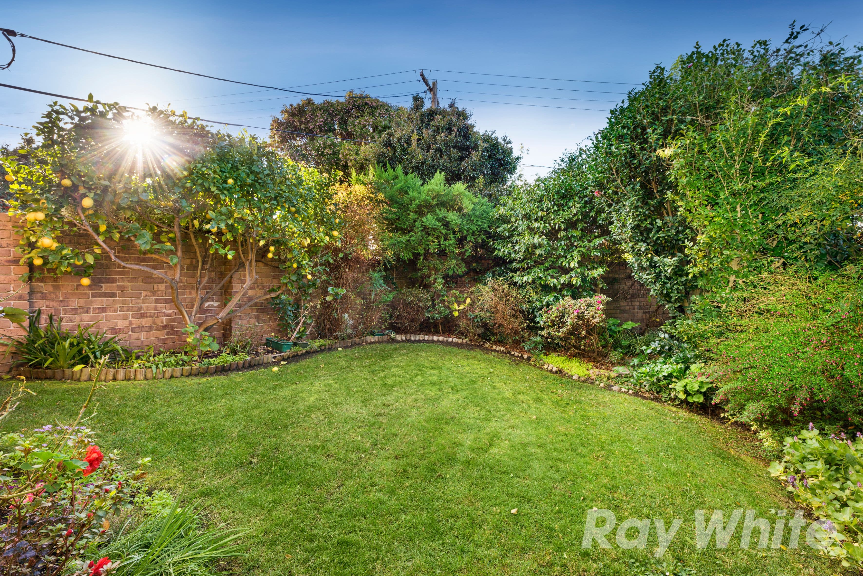 18 Morshead Avenue, Mount Waverley VIC 3149, Mount Waverley - Thumbnail 6