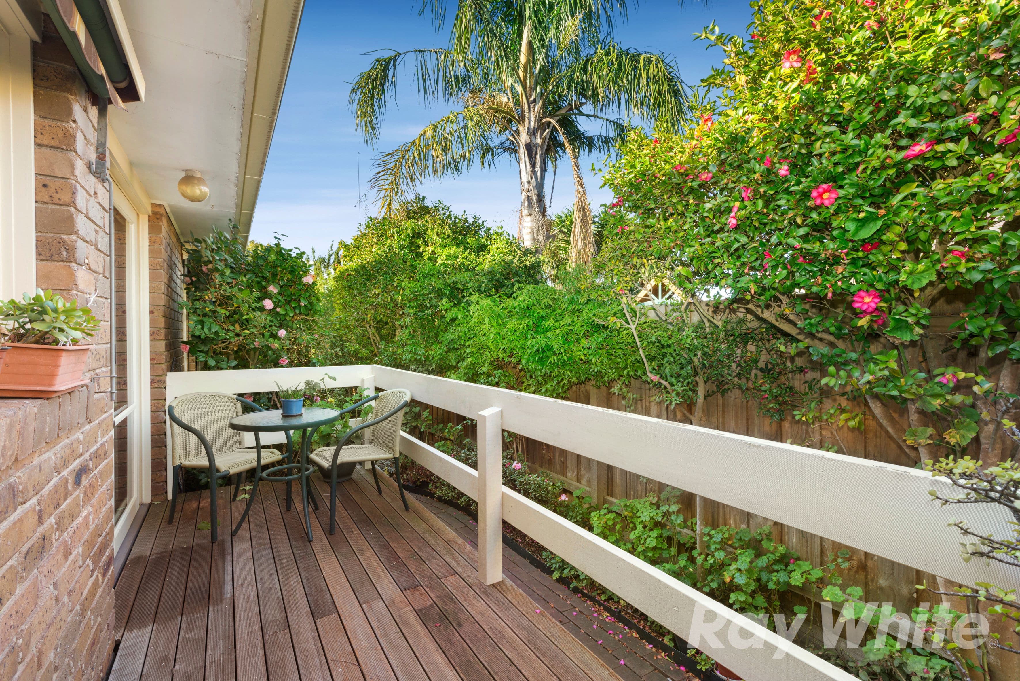 18 Morshead Avenue, Mount Waverley VIC 3149, Mount Waverley - Thumbnail 7