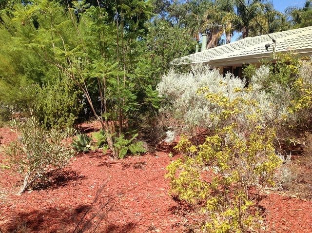 57 Doorigo Road, ARMADALE WA 6112, Armadale - Thumbnail 3