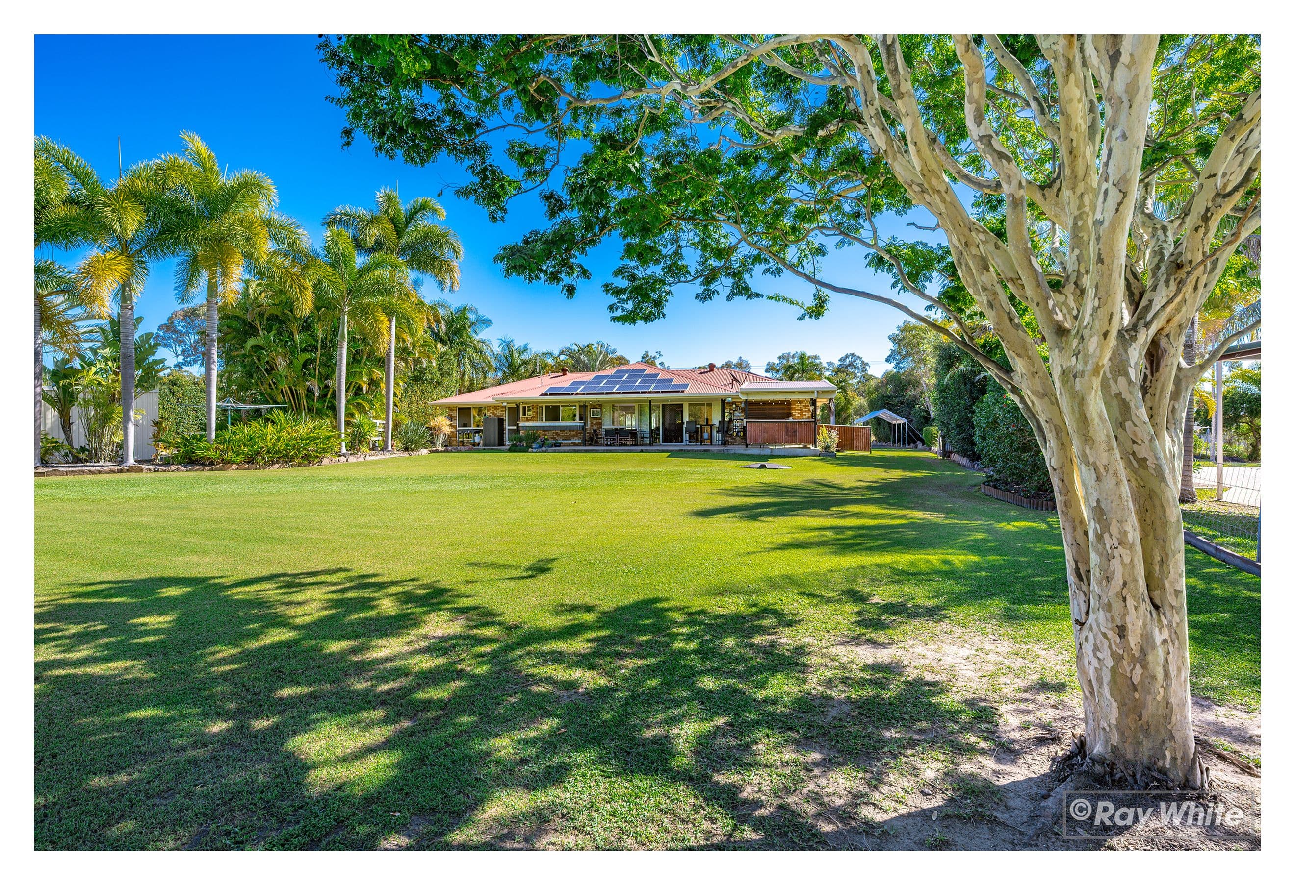 48-50 Stanley Avenue, Barmaryee QLD 4703, Barmaryee - Image 1