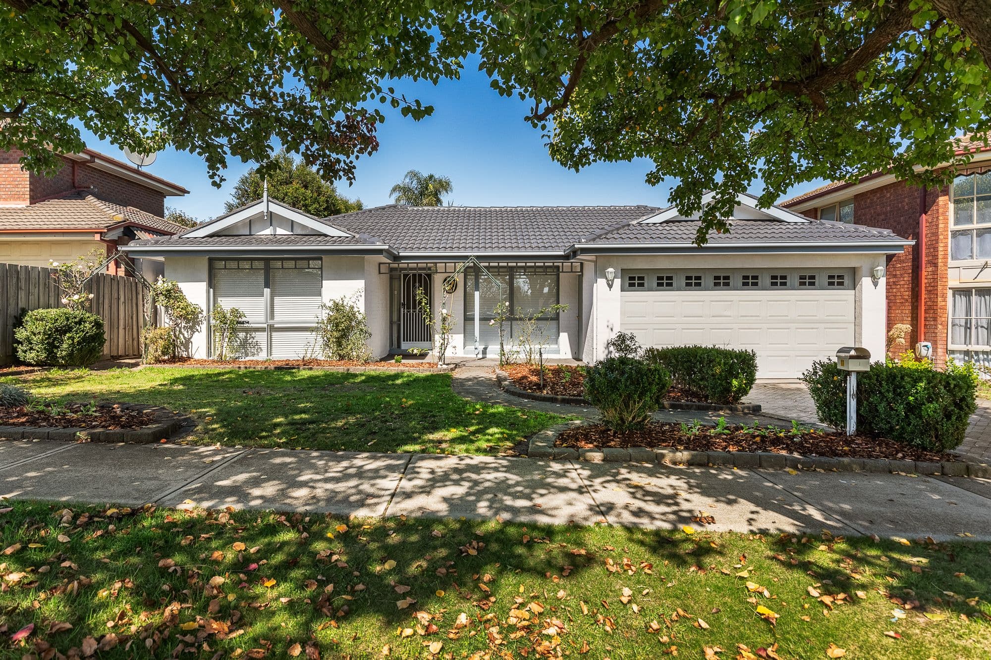 17 Homestead Road, Berwick VIC 3806, Berwick - Image 1