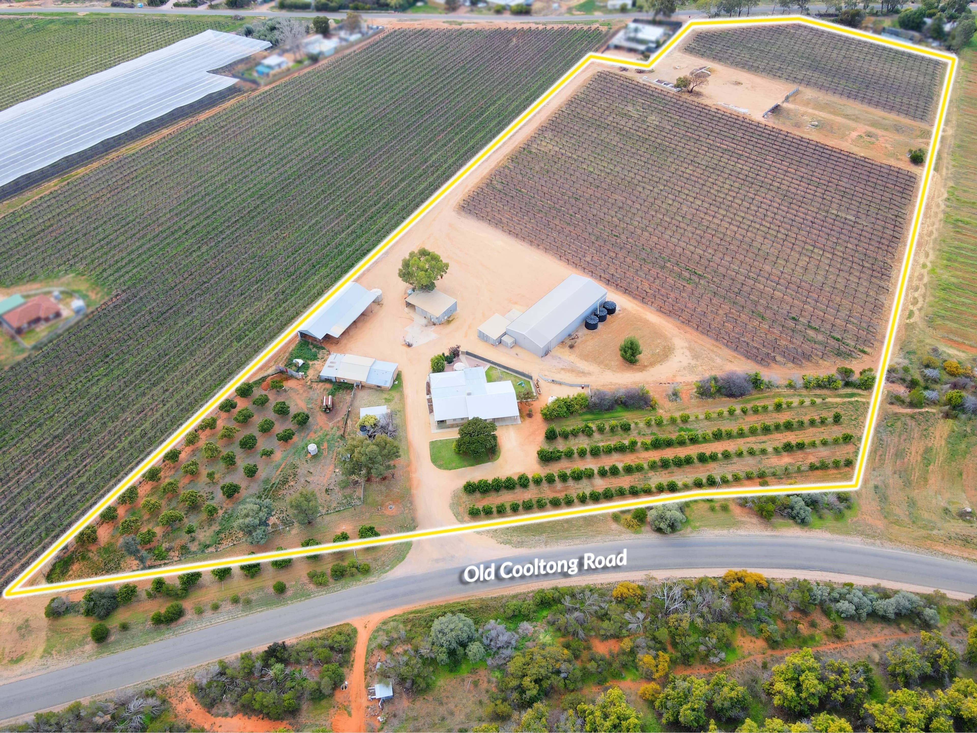 130 Old Cooltong Road, Renmark SA 5341, Renmark - Image 1