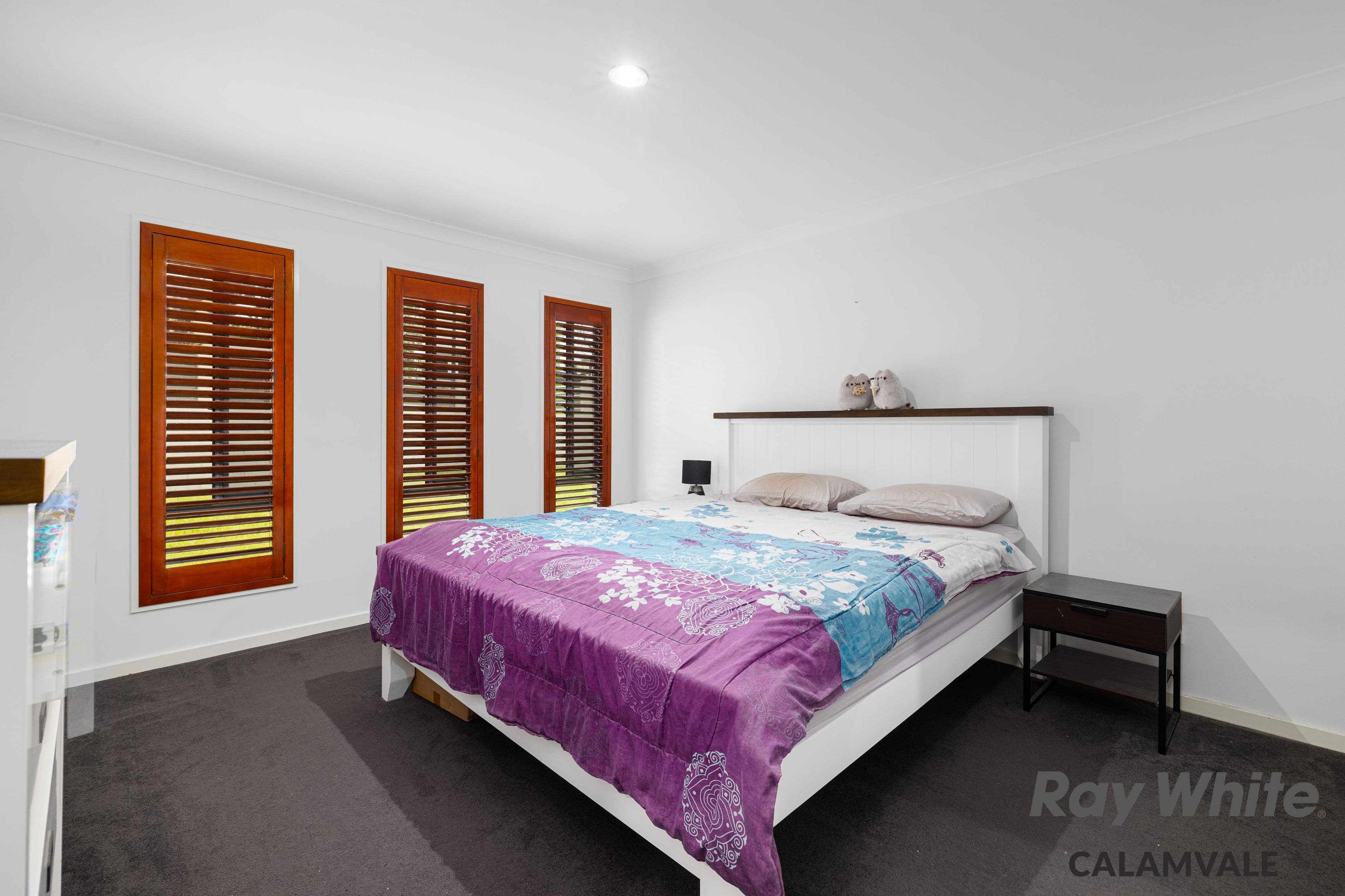 106 Tweeddale Circuit, Drewvale QLD 4116, Drewvale - Thumbnail 8