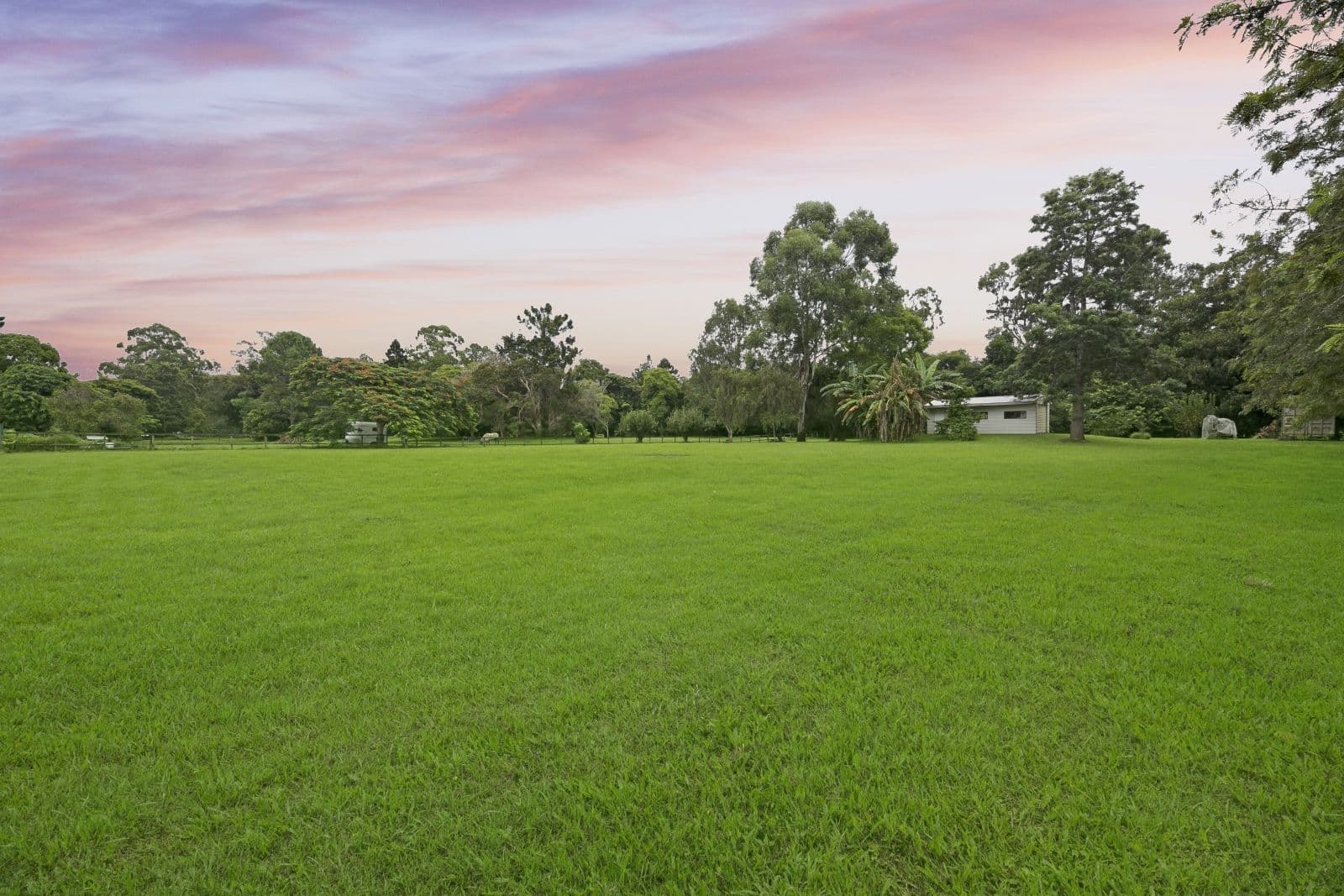 38 Worongary Road, Worongary QLD 4213, Worongary - Thumbnail 6