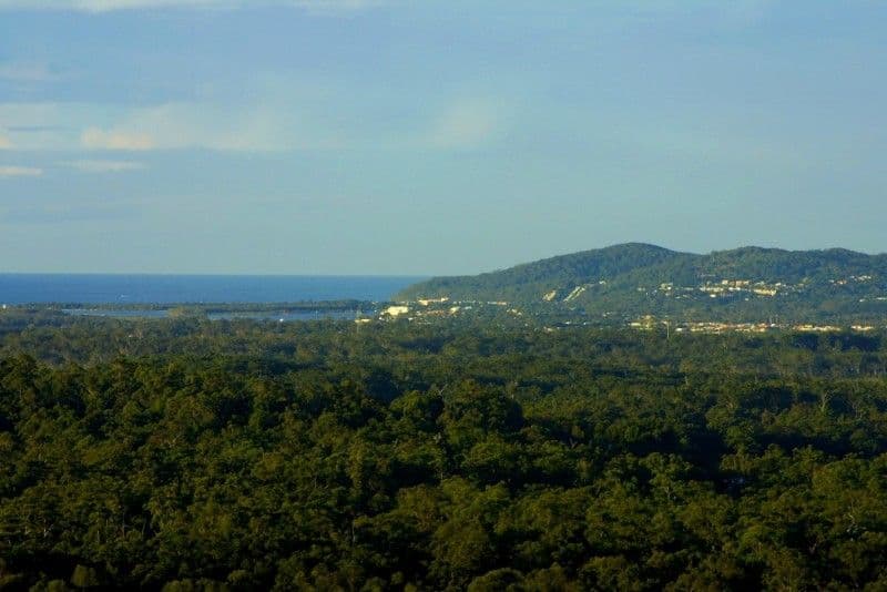 359 Sunrise Road, DOONAN QLD 4562, Doonan - Thumbnail 3