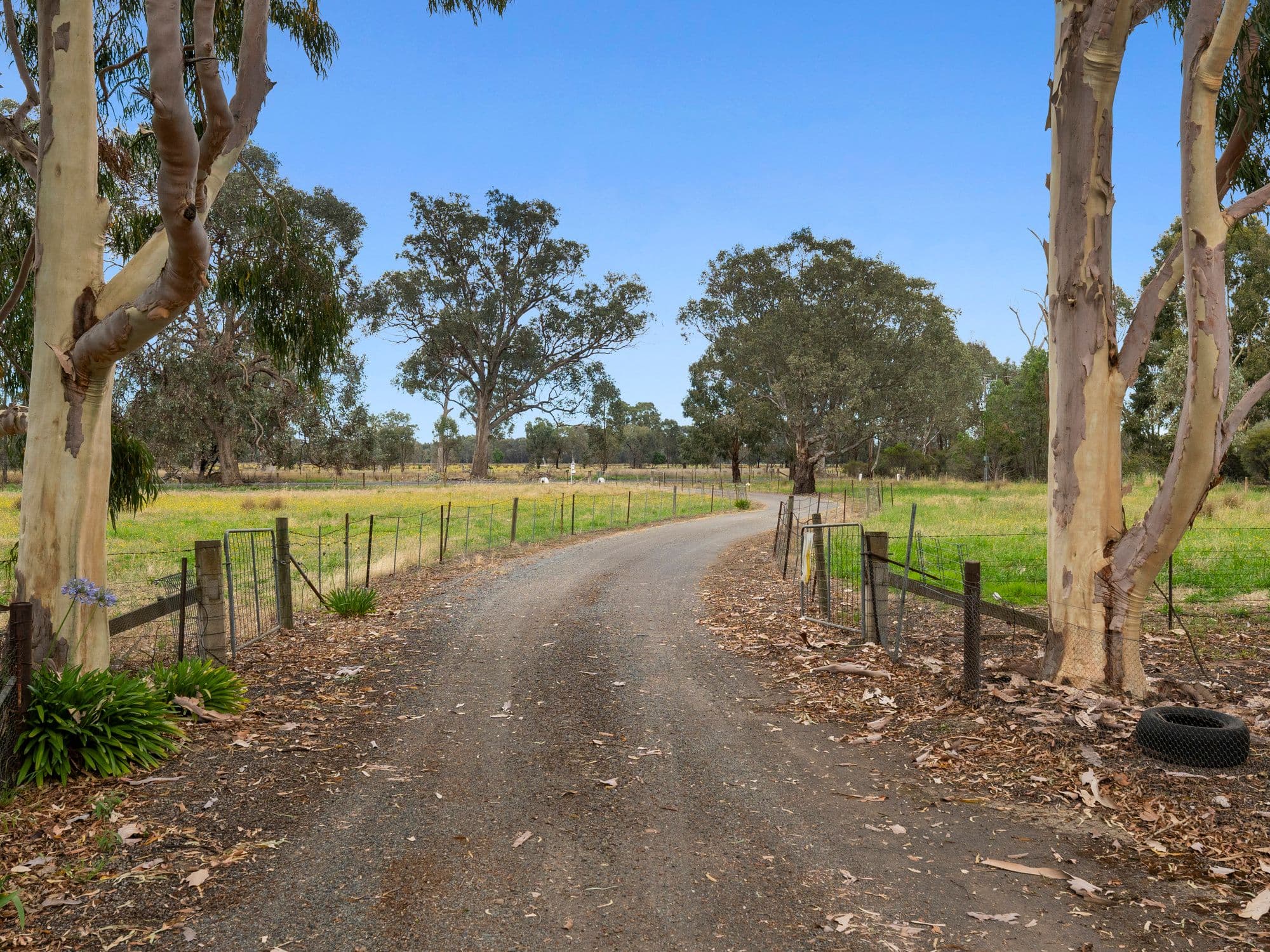 397 Kilfeera Road, Benalla VIC 3672, Benalla - Thumbnail 4