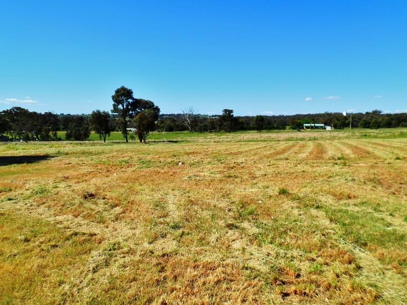 74 Briggs Street, YOUNG NSW 2594, Young - Image 1