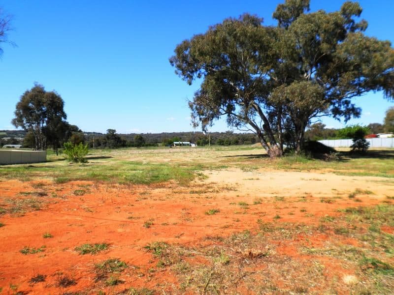 74 Briggs Street, YOUNG NSW 2594, Young - Thumbnail 3