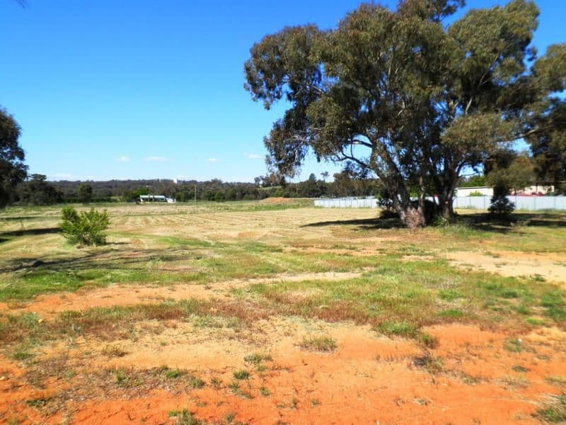 74 Briggs Street, YOUNG NSW 2594, Young - Thumbnail 4