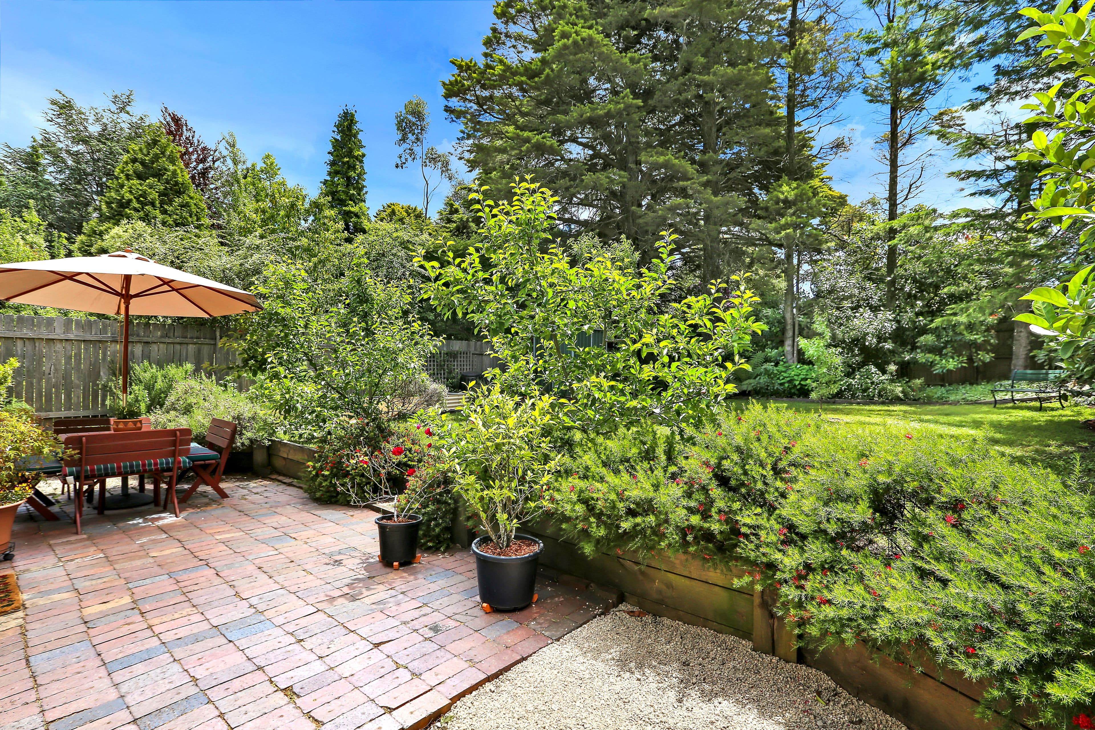 240 Hat Hill Road, Blackheath - Thumbnail 6