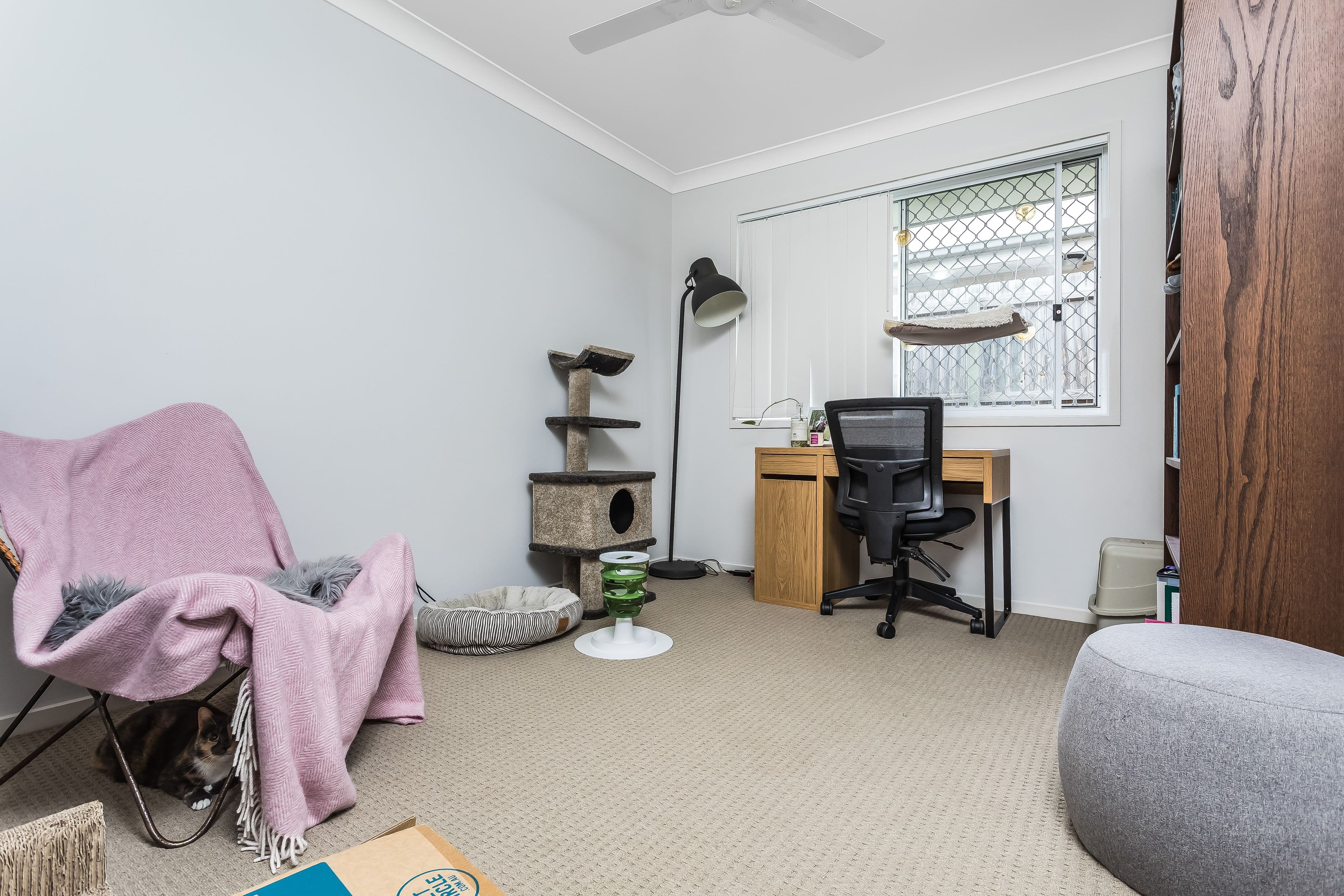 11 Elizabeth Road, Griffin QLD 4503, Griffin - Thumbnail 6