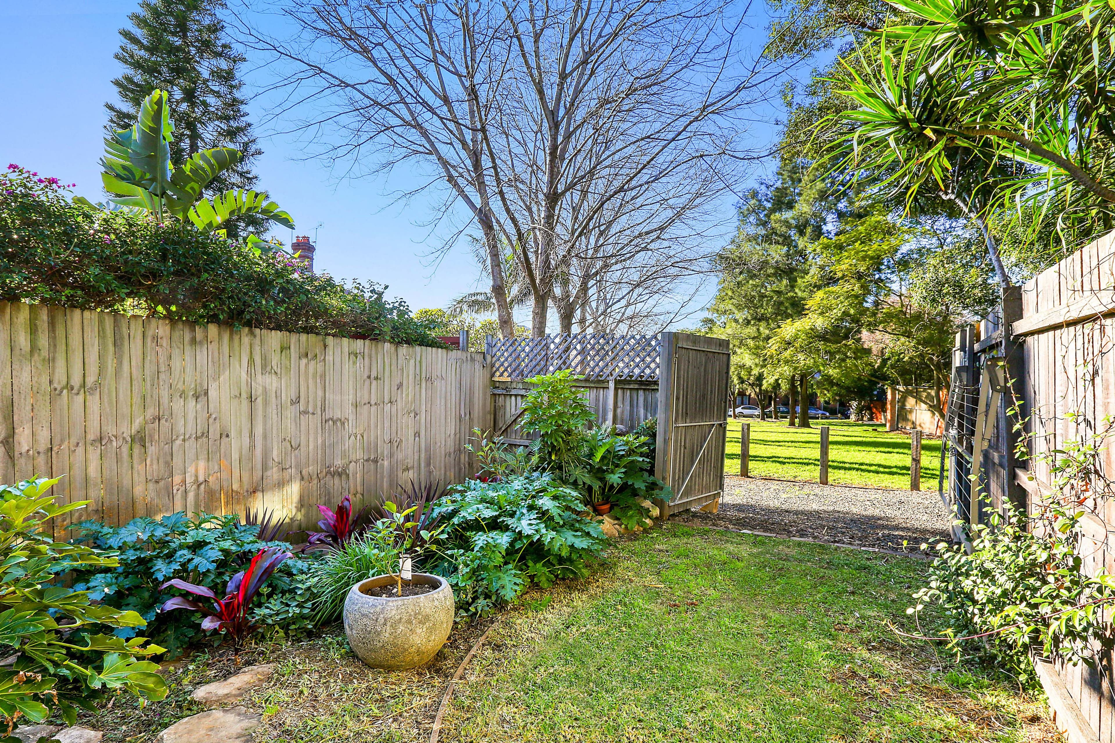 142 Rochford Street, Erskineville - Thumbnail 8