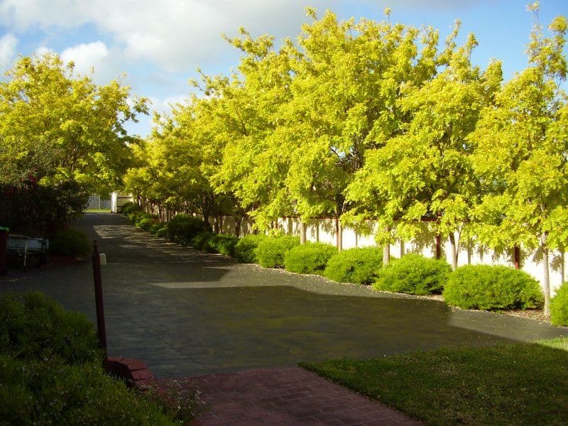 16 Gentle Annie Drive, BLIND BIGHT VIC 3980, Blind Bight - Thumbnail 2