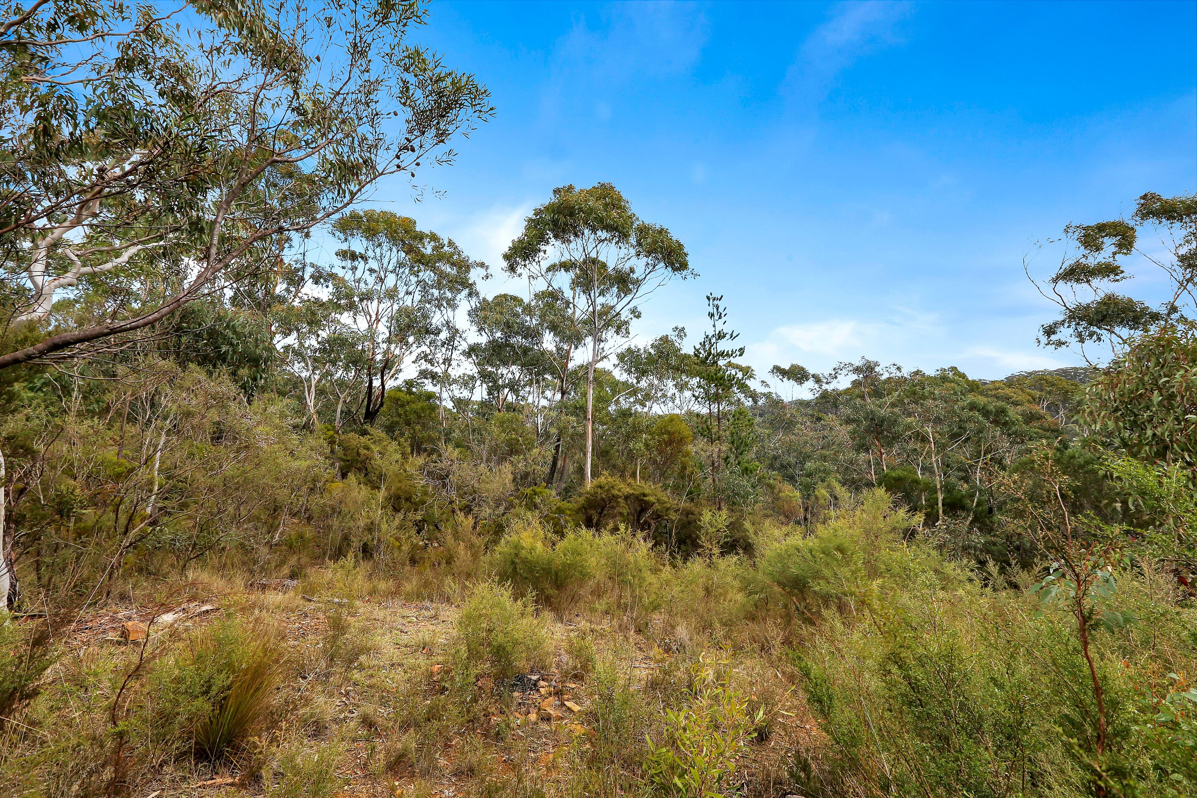 35 Foy Avenue, Medlow Bath NSW 2780, Medlow Bath - Thumbnail 3