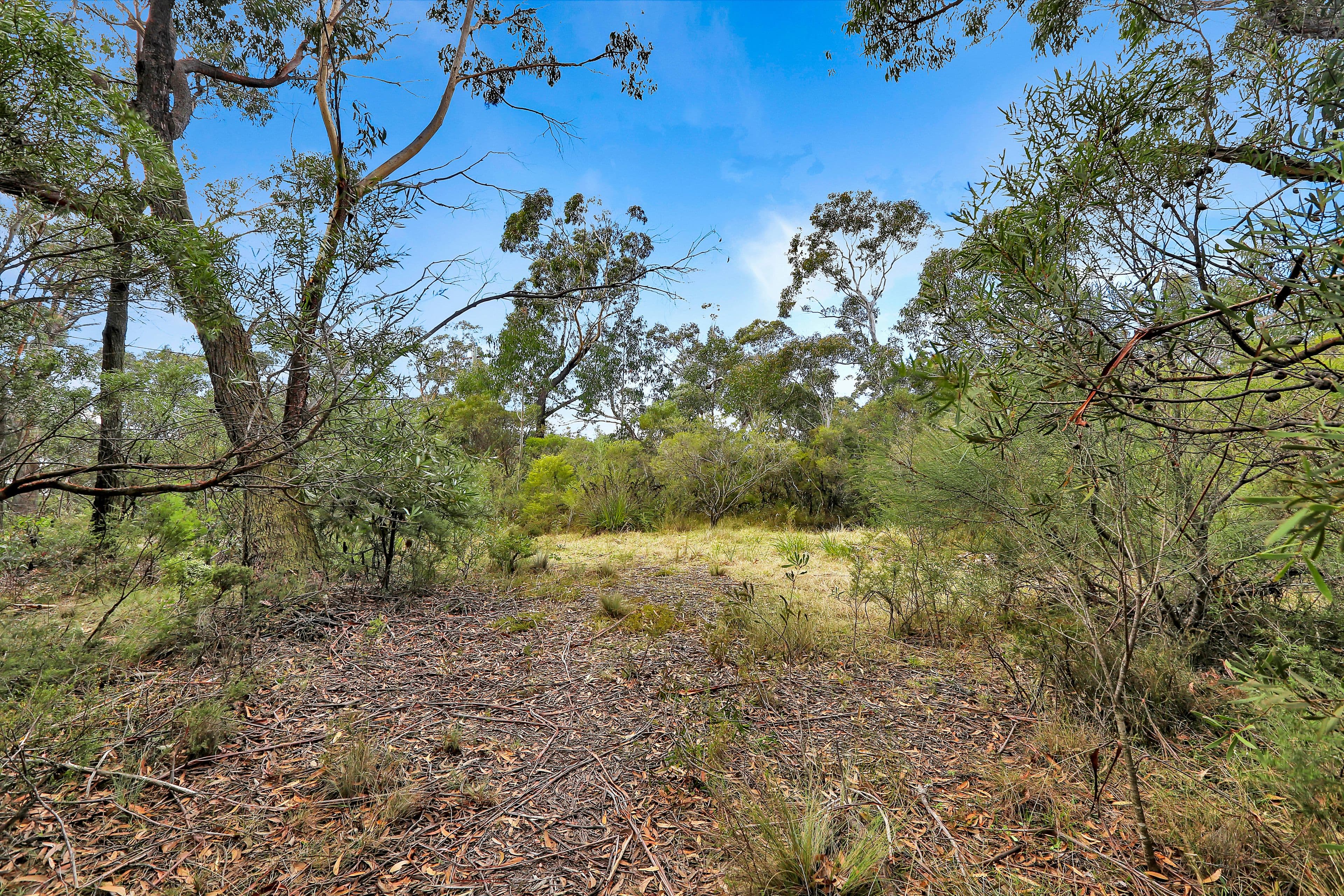 35 Foy Avenue, Medlow Bath NSW 2780, Medlow Bath - Thumbnail 4