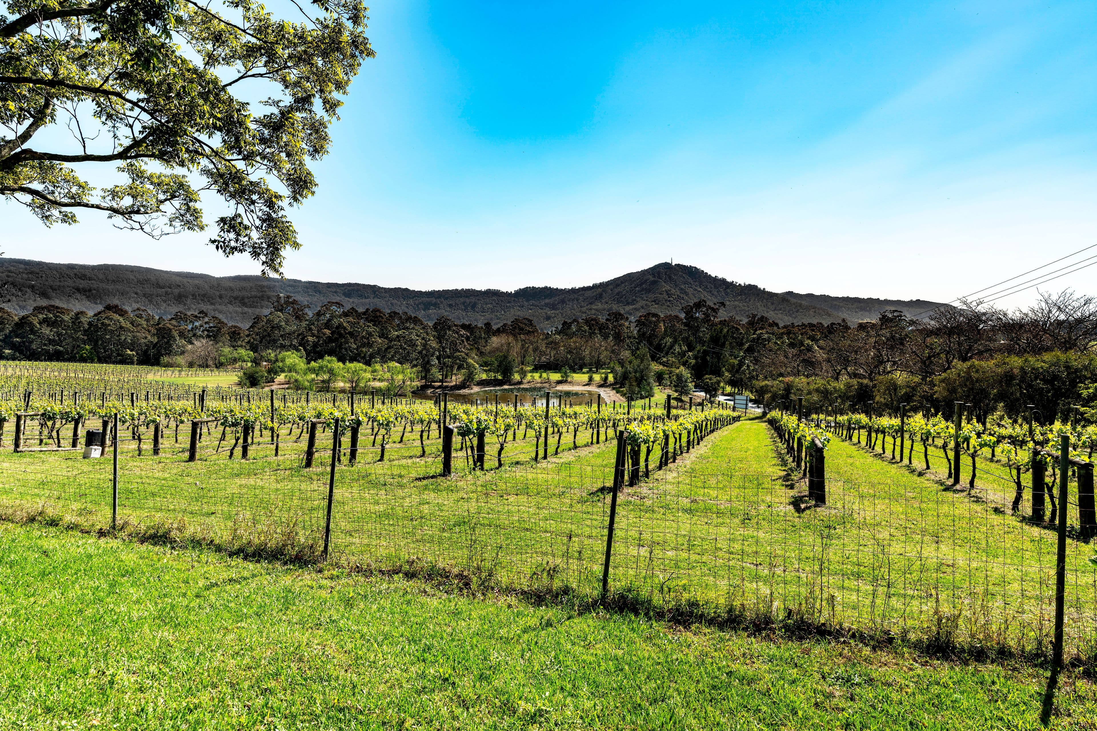 490 Illaroo Road, Bangalee - Thumbnail 8
