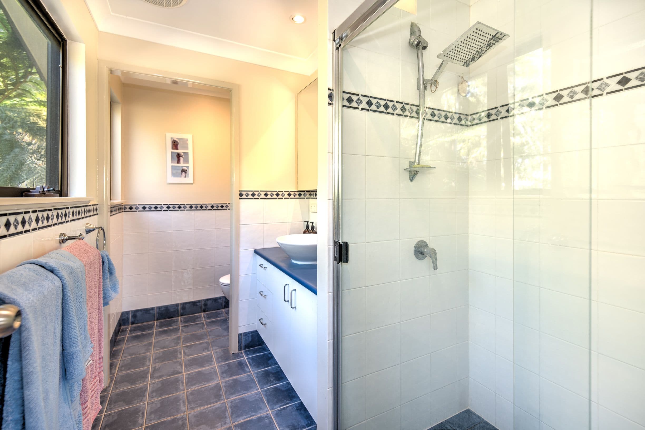 4 Cedarleigh Drive, Tewantin QLD 4565, Tewantin - Thumbnail 6