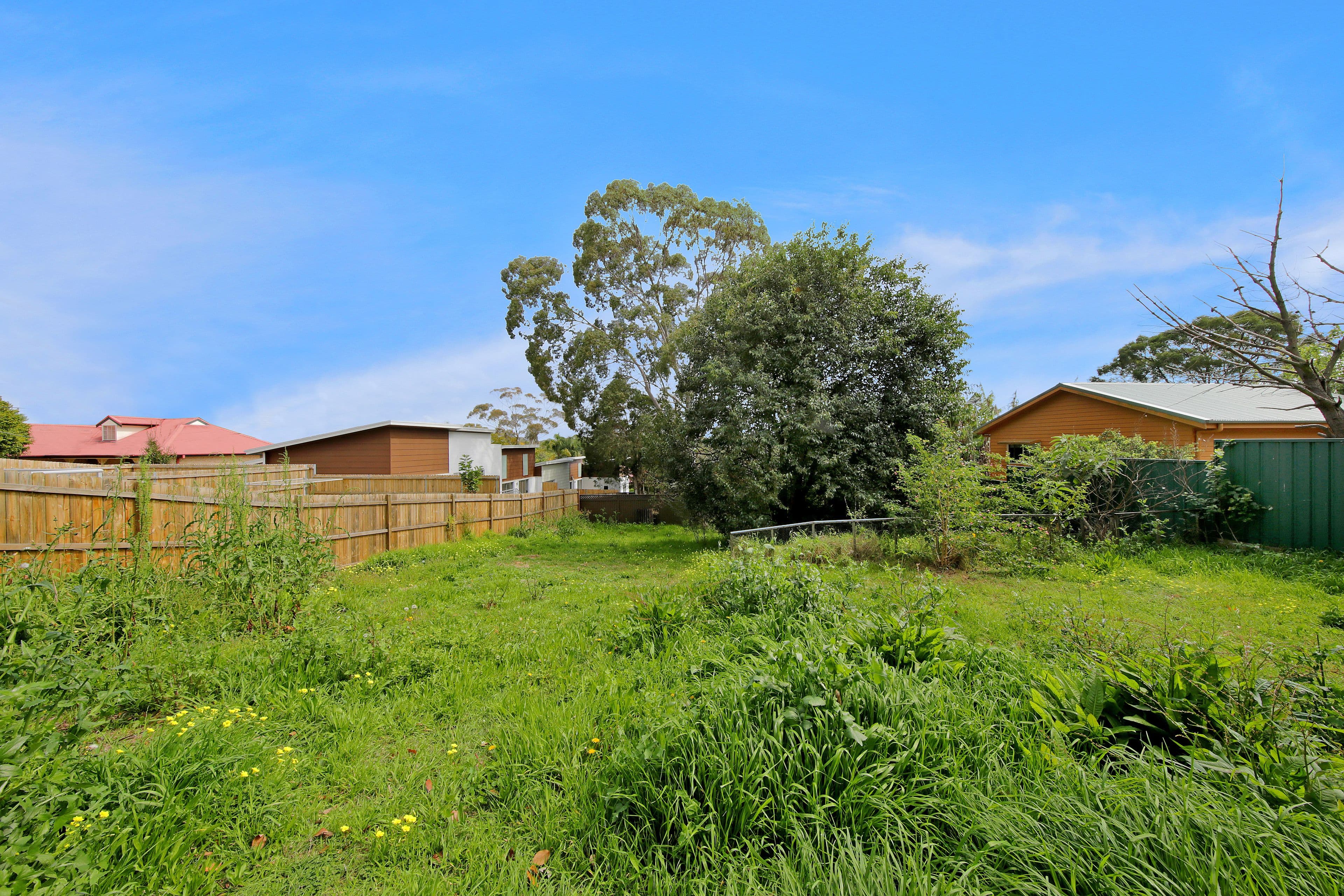 216 Windsor Road, Winston Hills - Thumbnail 2
