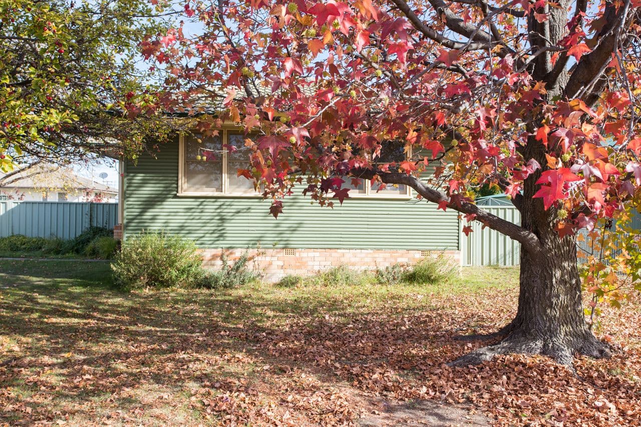 22 Claude Street, Armidale NSW 2350, Armidale - Thumbnail 2