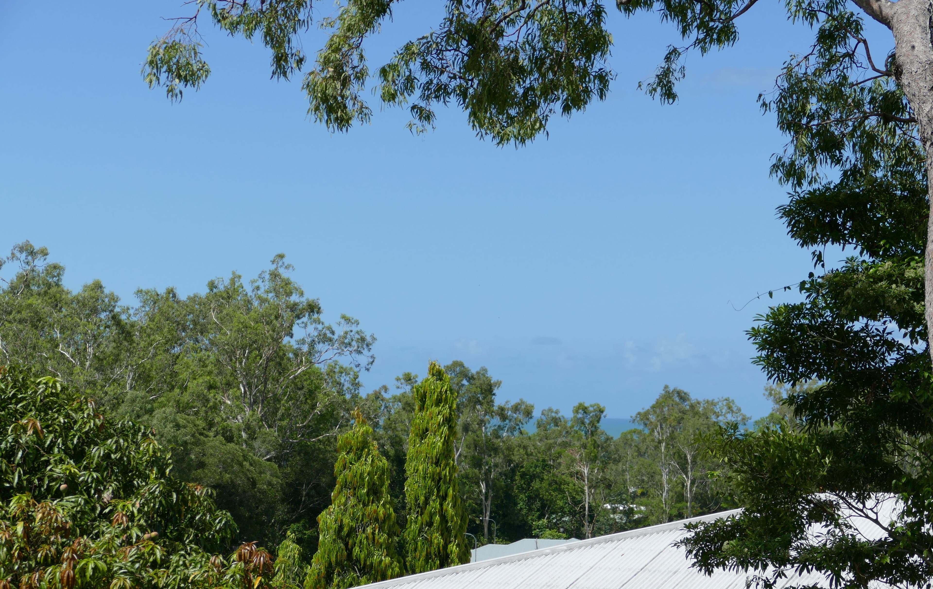 55 Leonard Street, Kewarra Beach QLD 4879, Kewarra Beach - Thumbnail 6