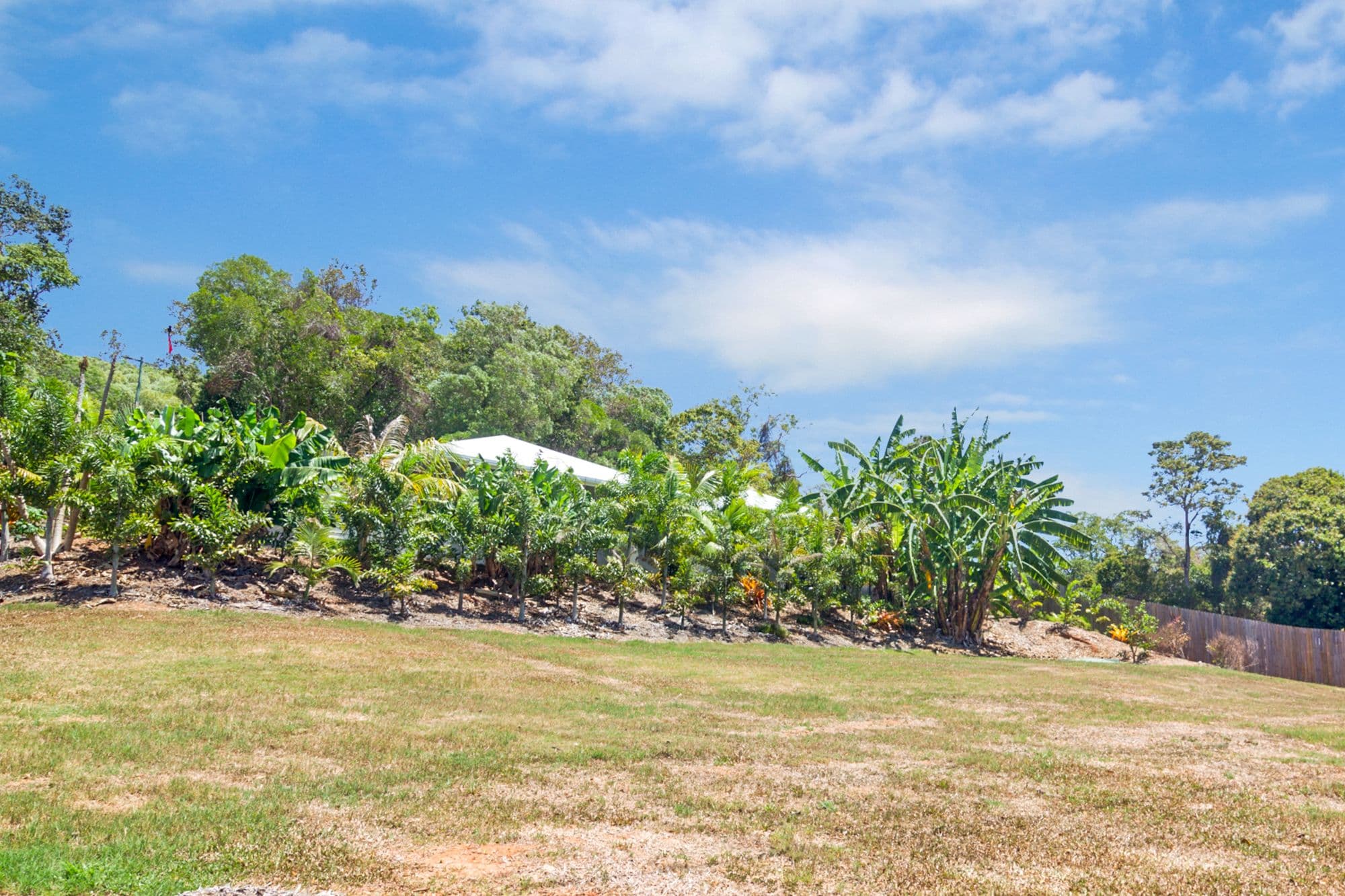 234 Mowbray River Road, Mowbray QLD 4877, Mowbray - Thumbnail 6