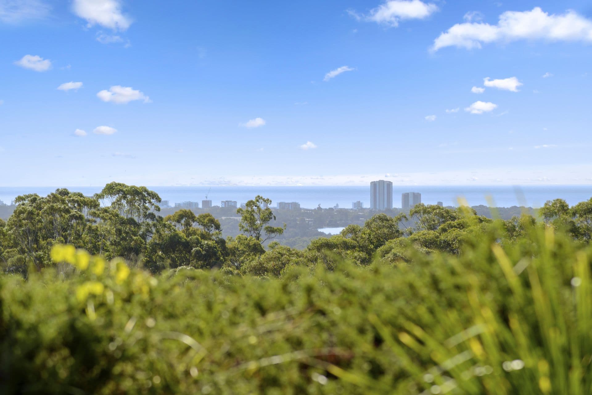 320 Piggabeen Road, Currumbin Valley QLD 4223, Currumbin Valley - Thumbnail 2
