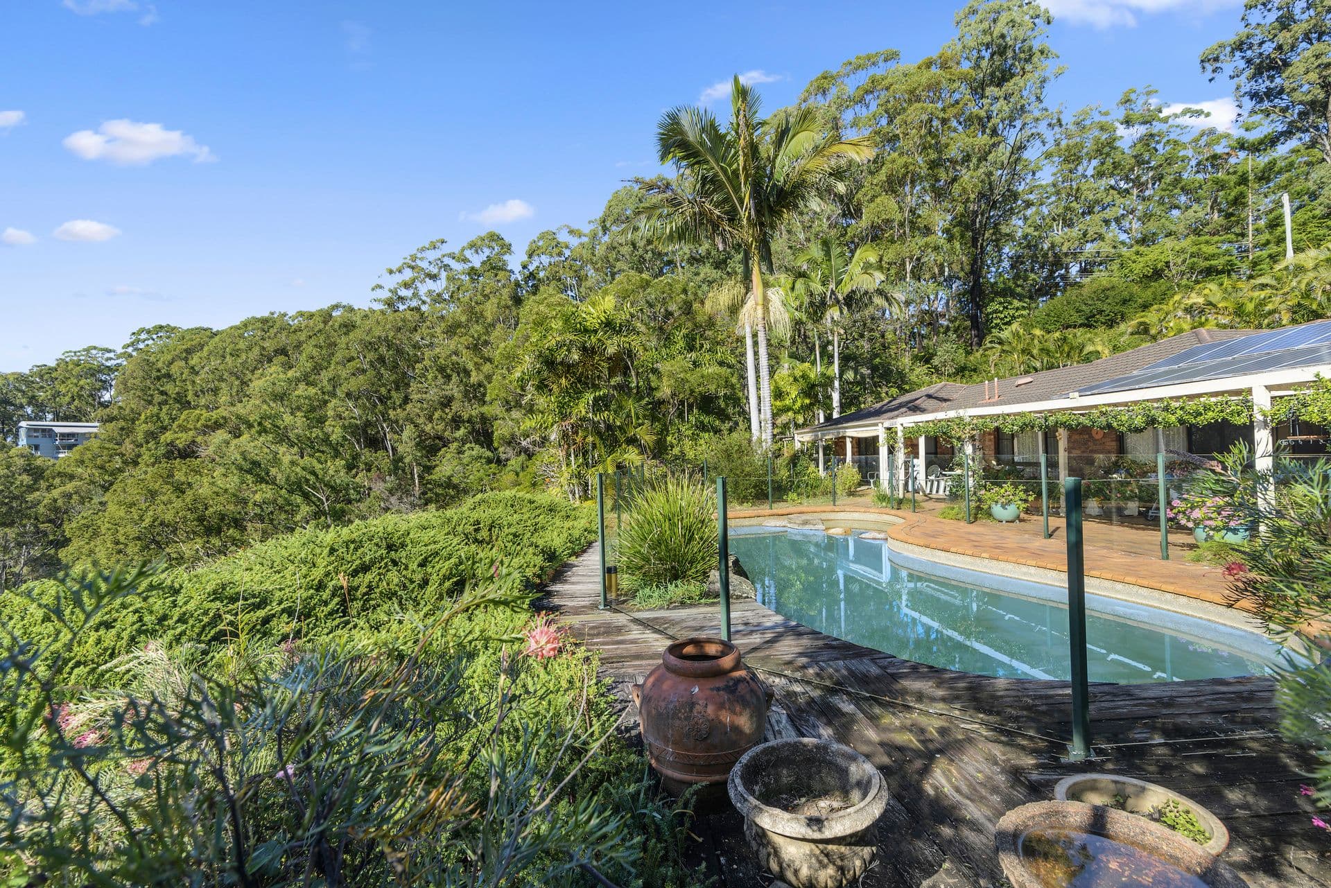 320 Piggabeen Road, Currumbin Valley QLD 4223, Currumbin Valley - Thumbnail 3
