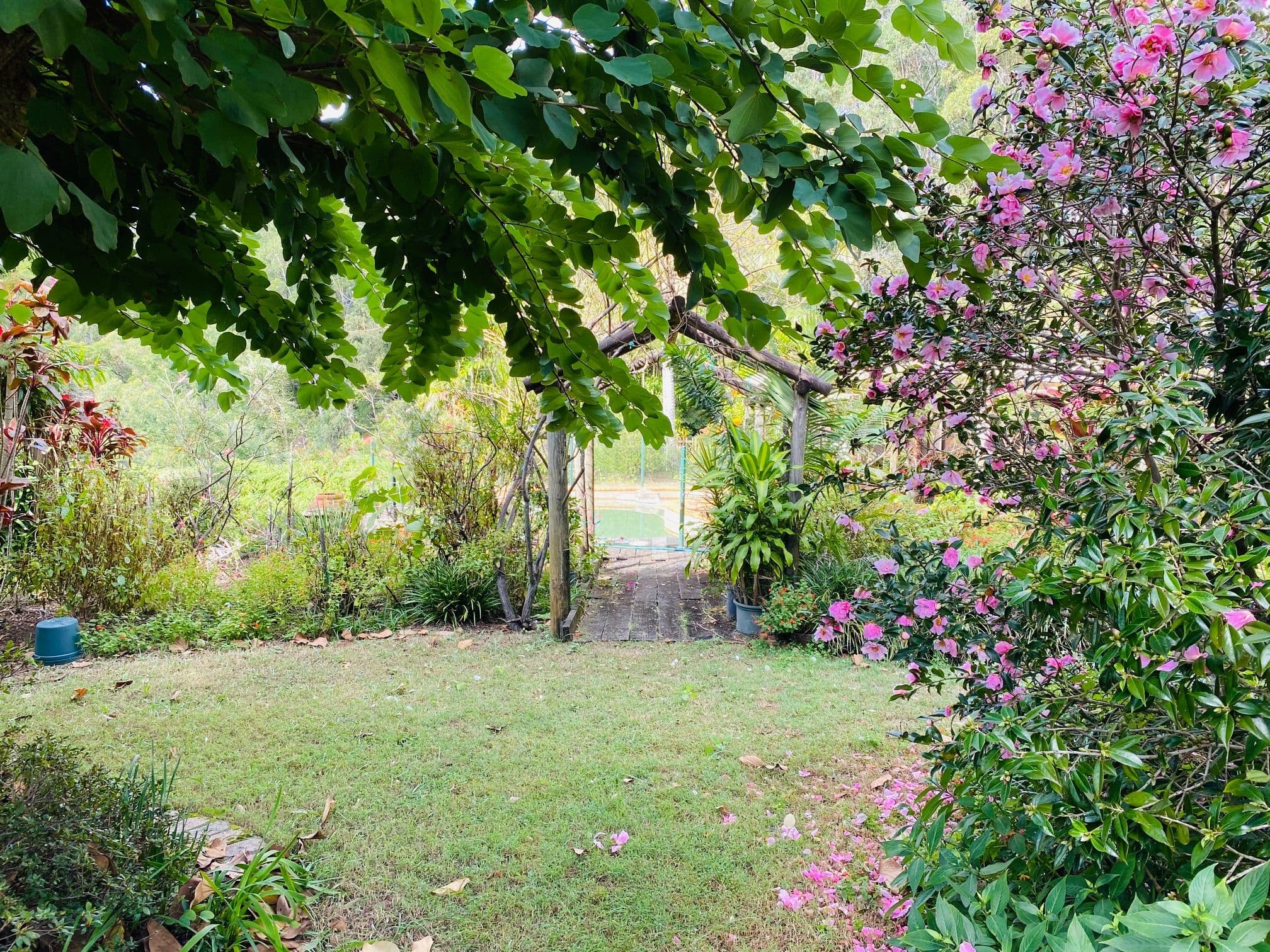 320 Piggabeen Road, Currumbin Valley QLD 4223, Currumbin Valley - Thumbnail 7