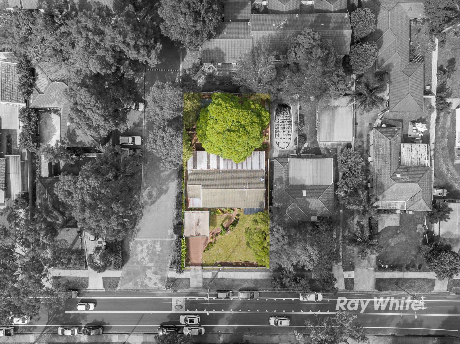 61 Castle Street, Castle Hill - Thumbnail 3