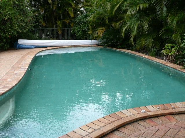 12 Hannaford Place, HELENSVALE QLD 4212, Helensvale - Thumbnail 5