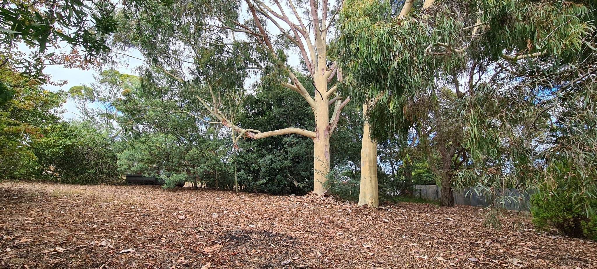 19 Deane Street, Mount Barker WA 6324, Mount Barker - Thumbnail 6