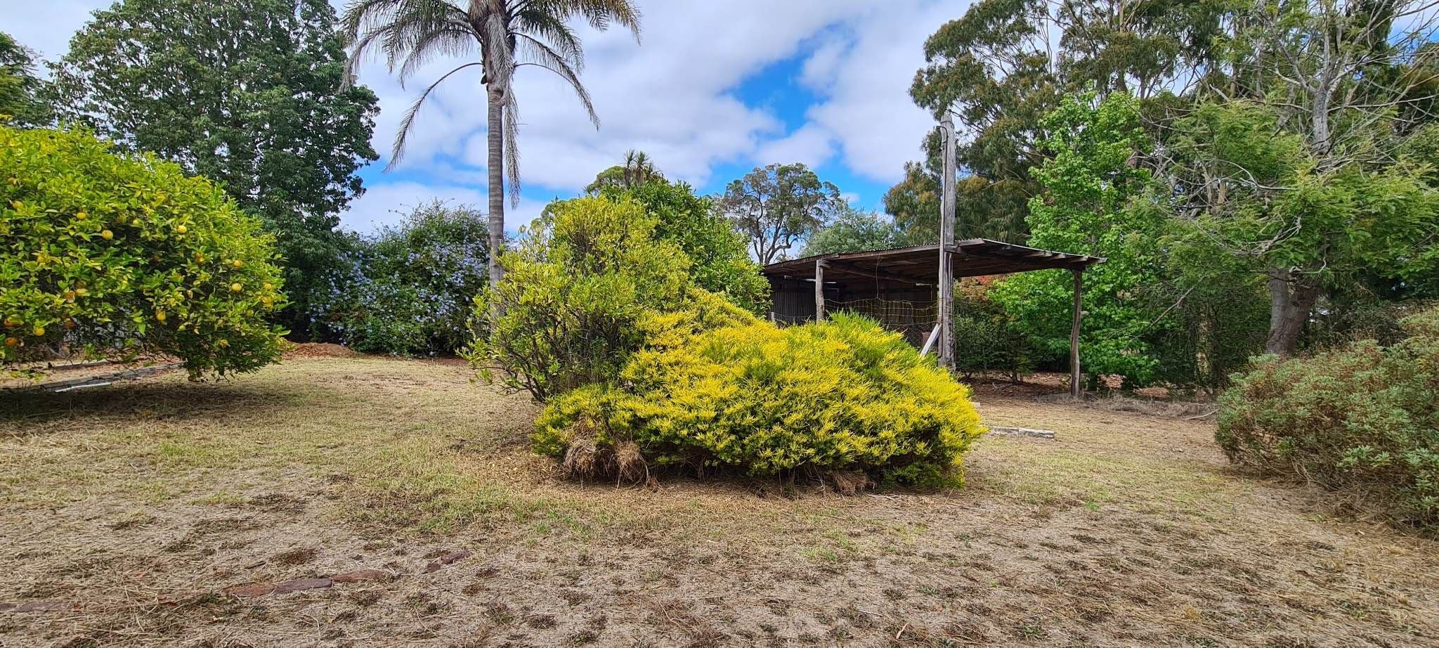 19 Deane Street, Mount Barker WA 6324, Mount Barker - Thumbnail 7