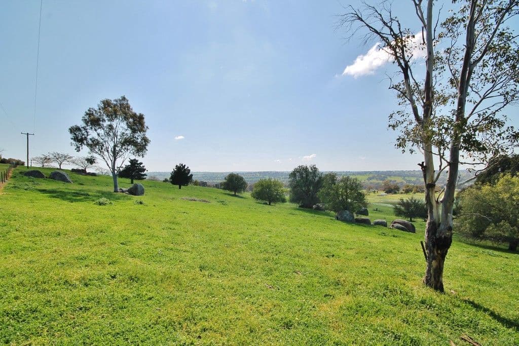 130 Belmore Road, Young NSW 2594, Young - Thumbnail 5